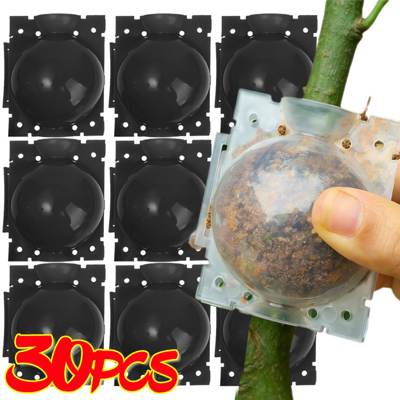 Plant Parents - Boule de bouturage réutilisable pour plantes,