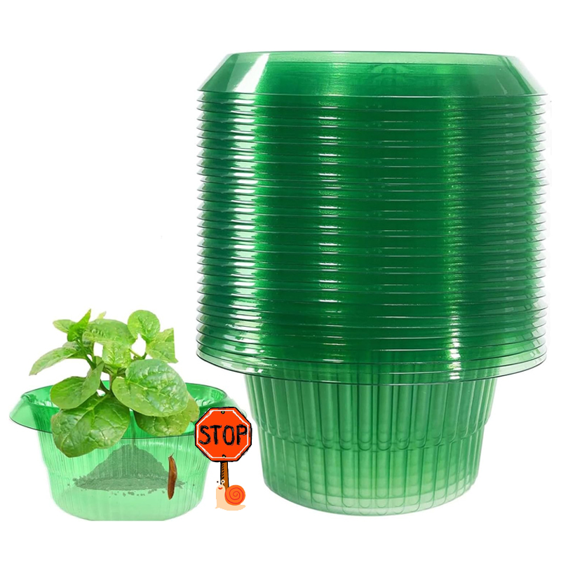 Plant Parents - Anneaux de Protection des limaces pour