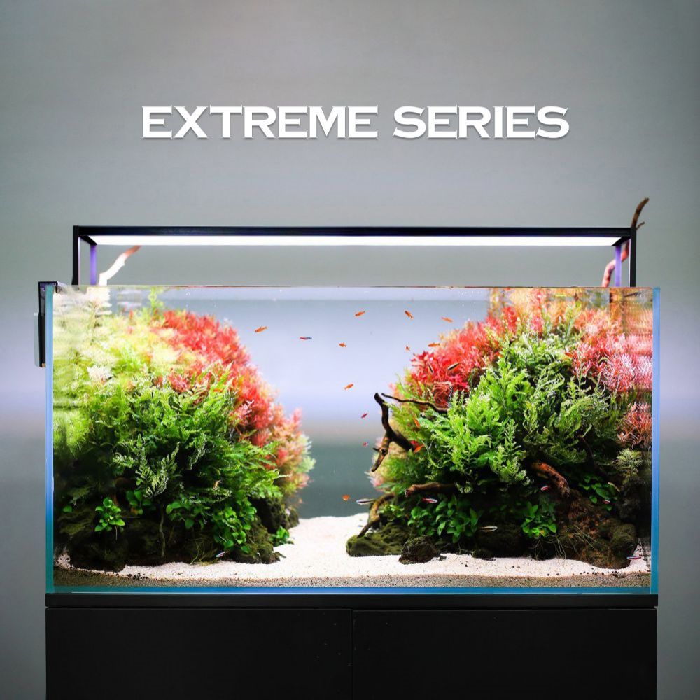 Plant Parent App - LED lumière d'aquarium MICMOL extrême II