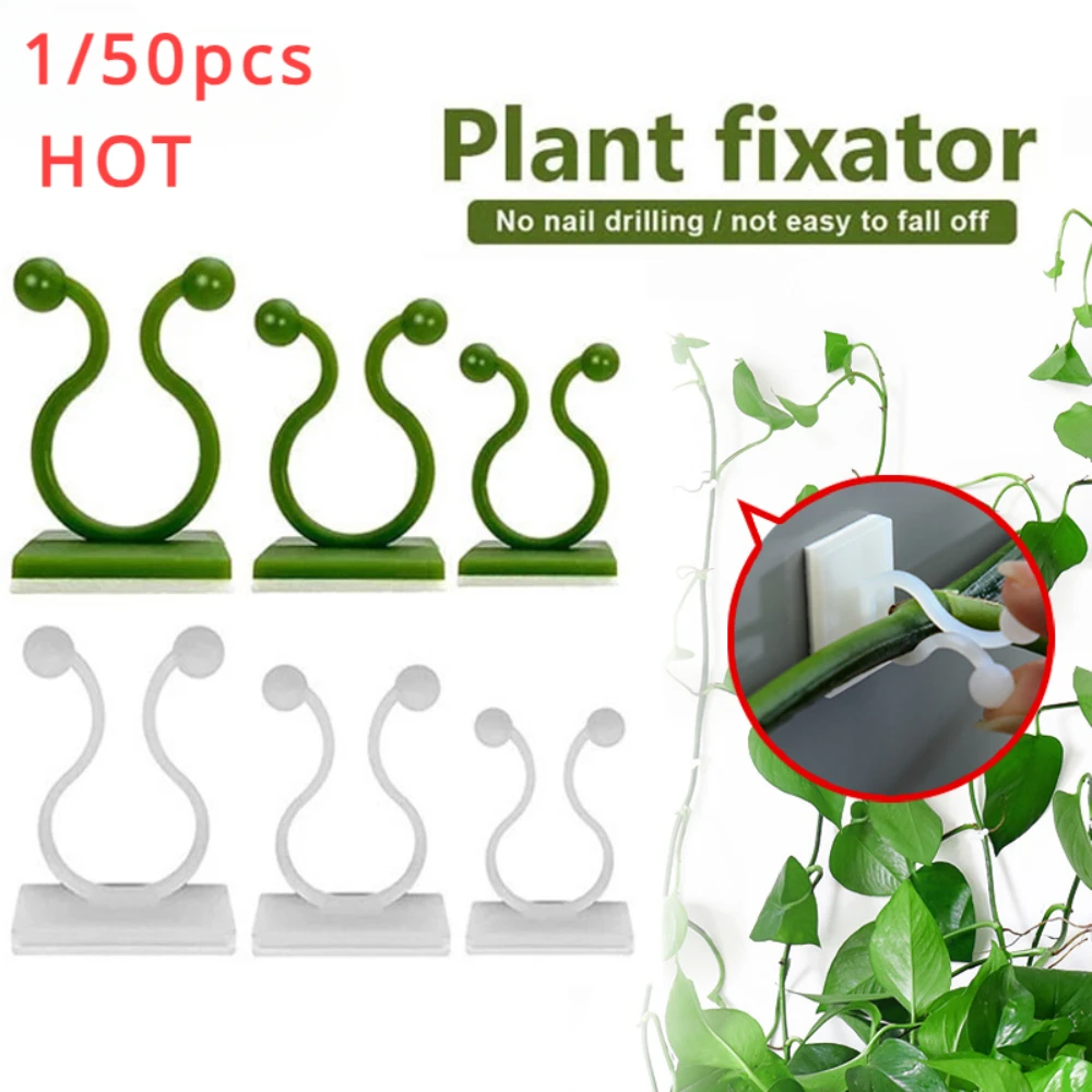 Plant Parents - 1/30/50 pièces pour accessoires de jardin