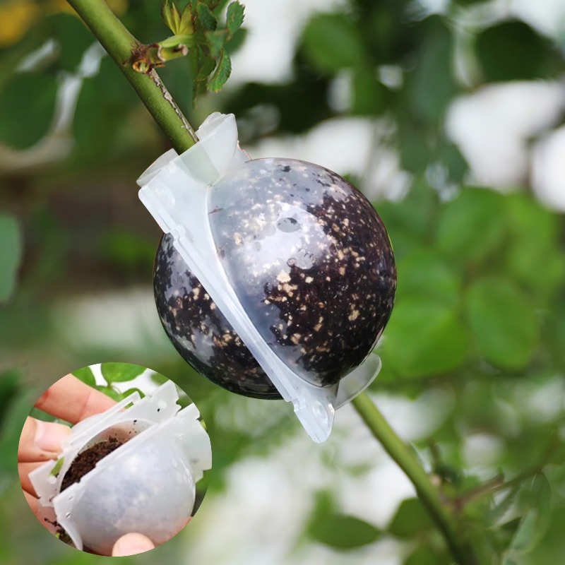 5/30 pièces Boîte de propagati - Plant Parents avis et prix