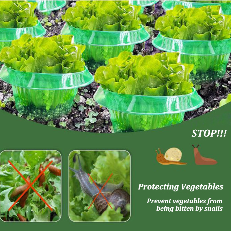 Anneaux de Protection des lima - Plant Parents avis et prix