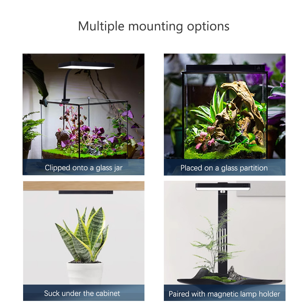 WEEK AQUA RGB + UV nouveau Mod - Plant Parent App avis et prix