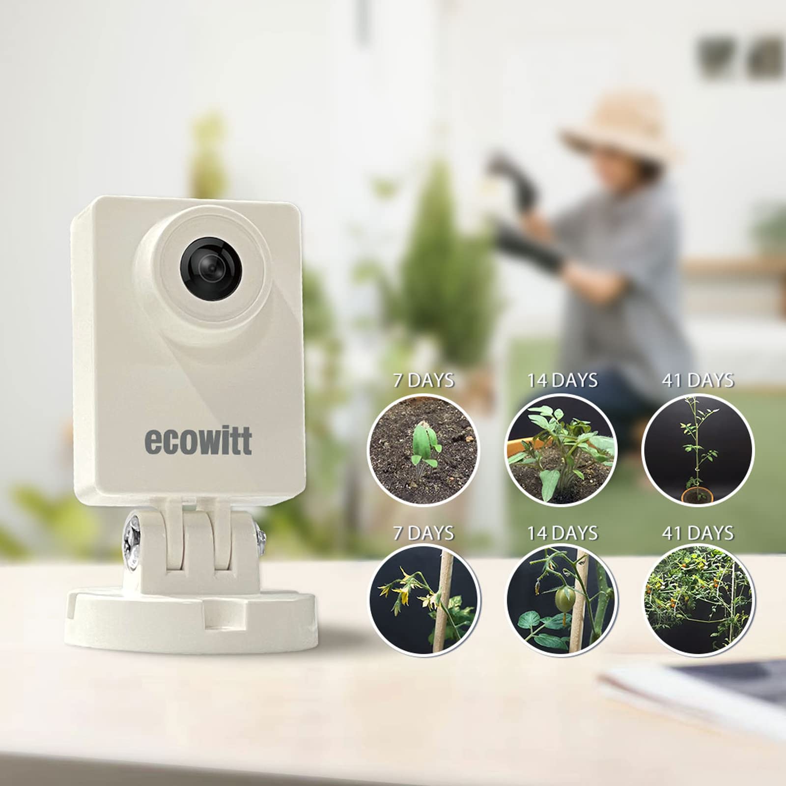 Ecowitt Garden-Caméra météo ex - Plant Parent App avis et prix