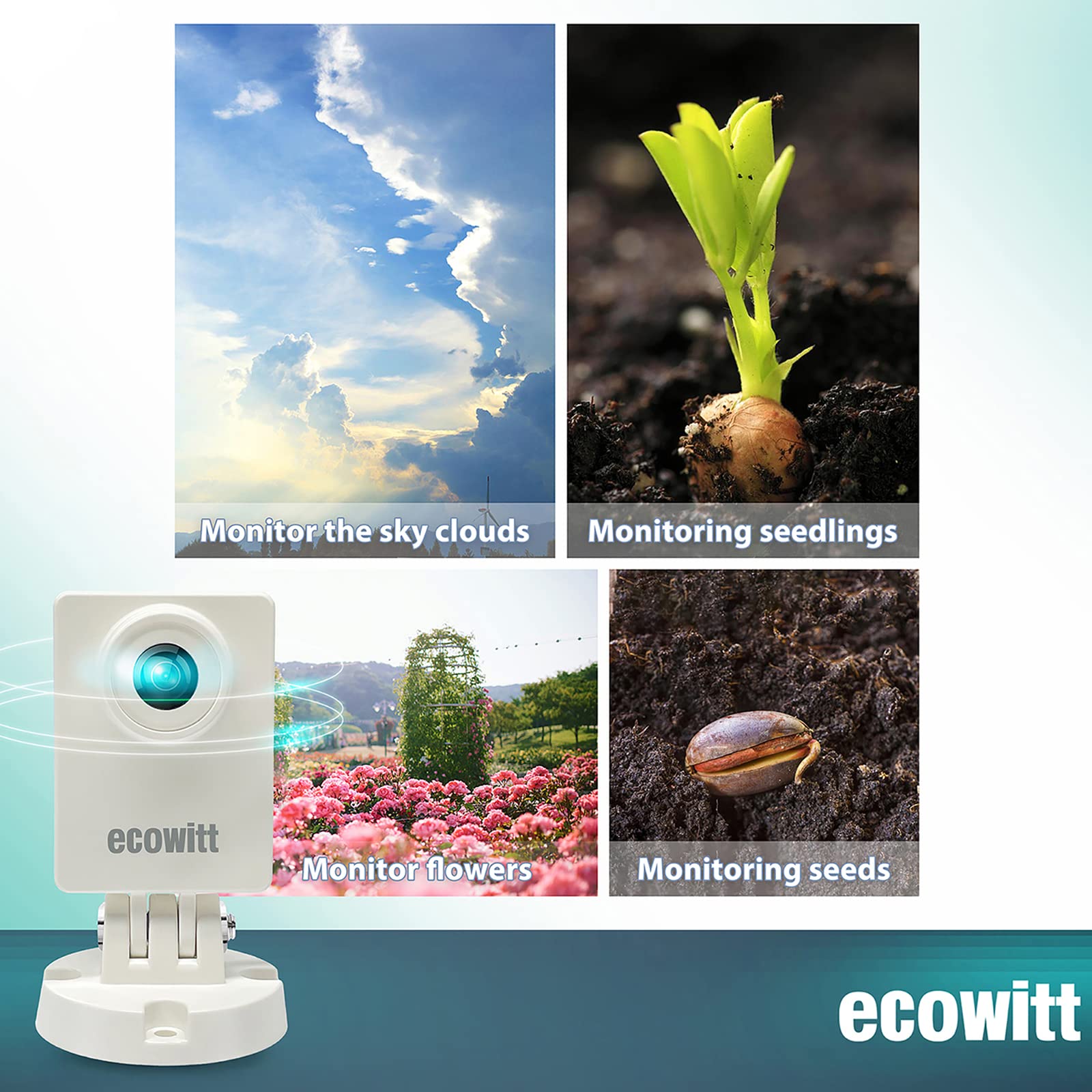 Ecowitt Garden-Caméra météo ex - Plant Parent App avis et prix