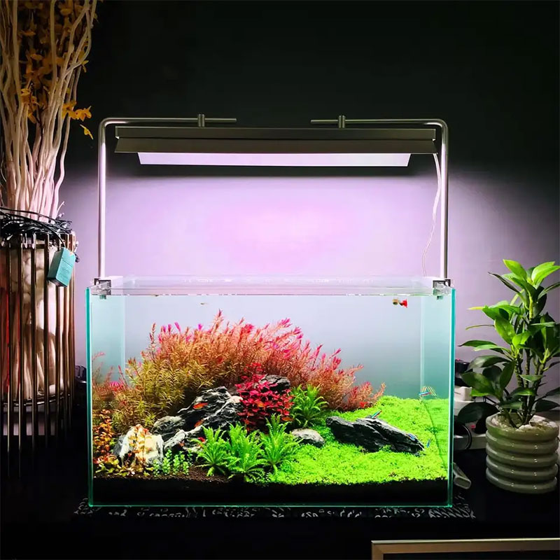 Lampe LED pour aquarium WEEK A - Plant Parent App avis et prix