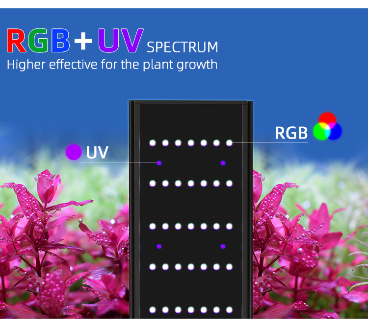 WEconvex-Variateur et minuteri - Plant Parent App avis et prix