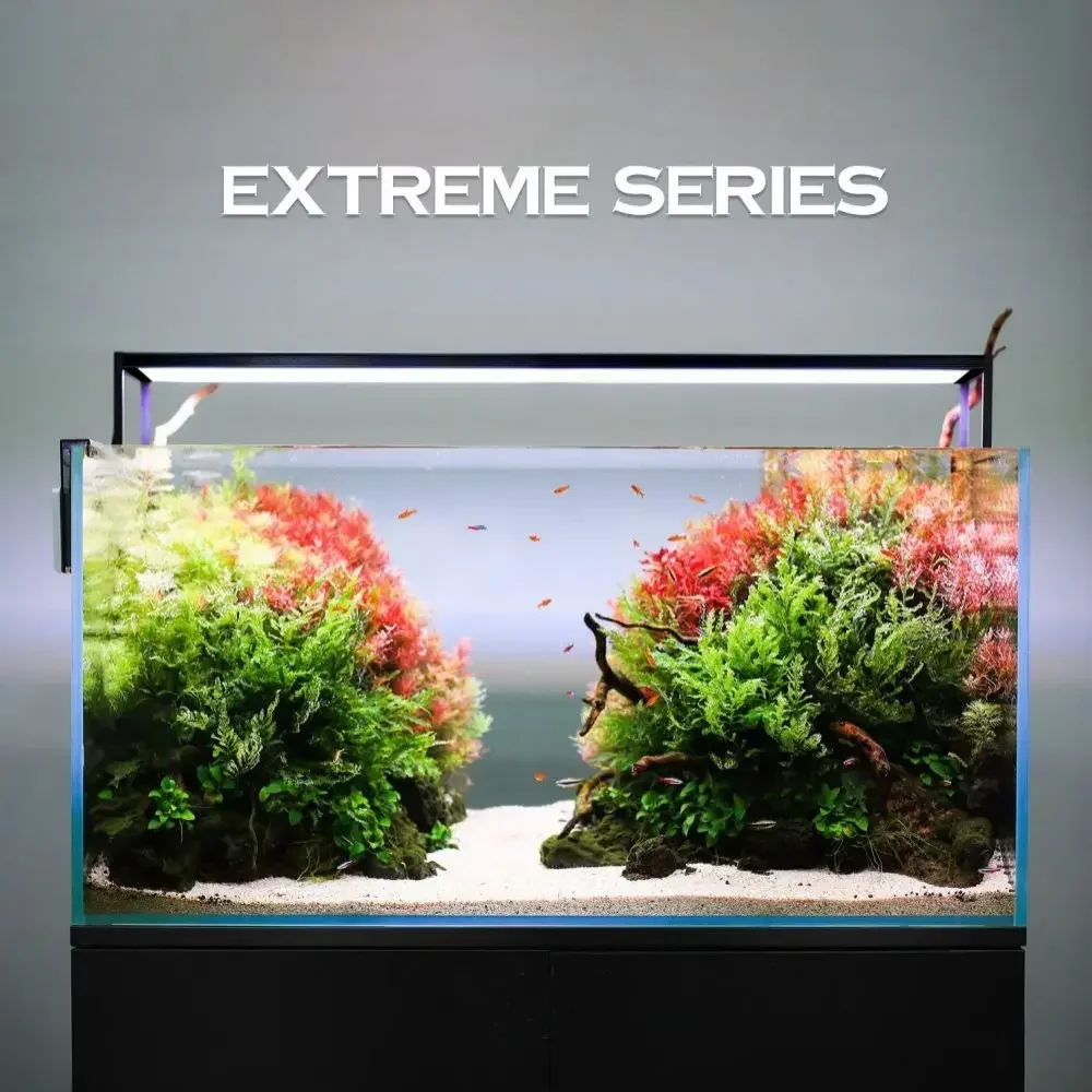 MICMOL-Plante d'aquarium intel - Plant Parent App avis et prix