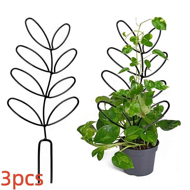 Cadre de Support pour plantes, - Plant Parents avis et prix