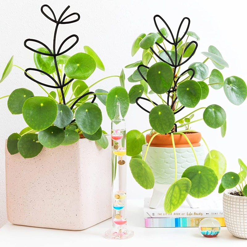 Cadre de Support pour plantes, - Plant Parents avis et prix