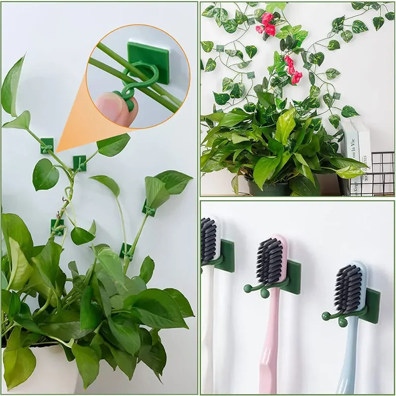 1/30/50 pièces pour accessoire - Plant Parents avis et prix