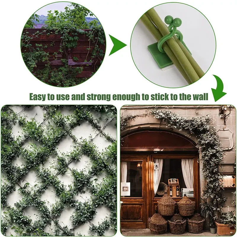 1/30/50 pièces pour accessoire - Plant Parents avis et prix