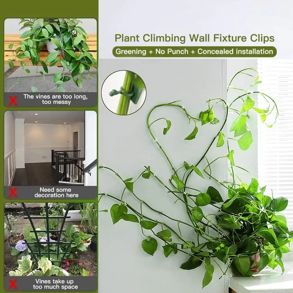 1/30/50 pièces pour accessoire - Plant Parents avis et prix