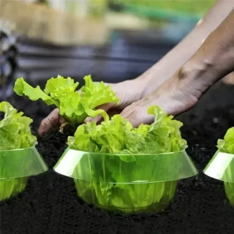 Plantes limace Protection anne - Plant Parents avis et prix