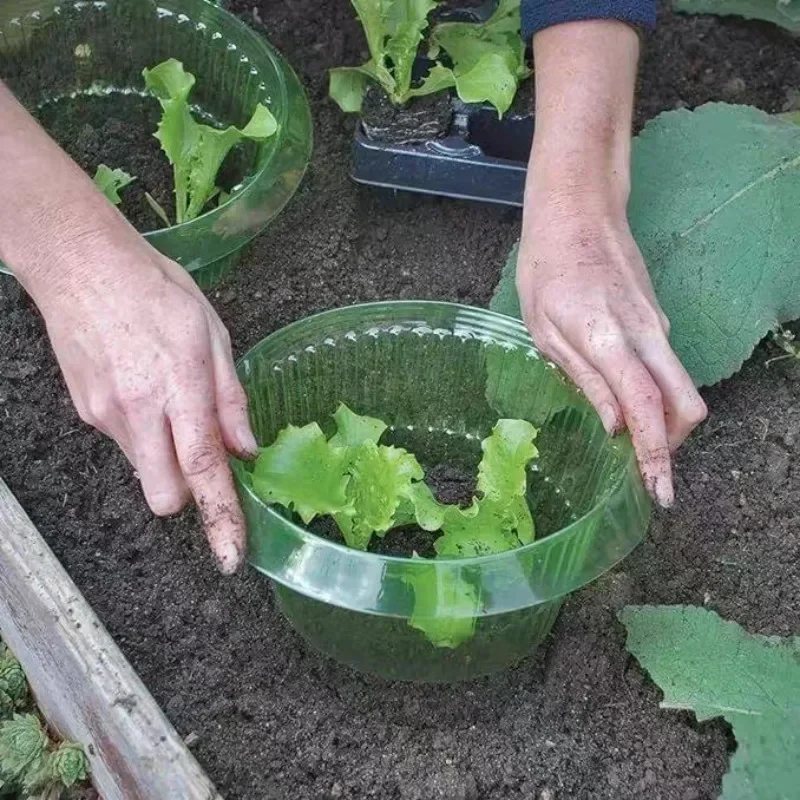 Plantes limace Protection anne - Plant Parents avis et prix